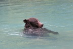 img 4938