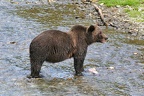 img 4993